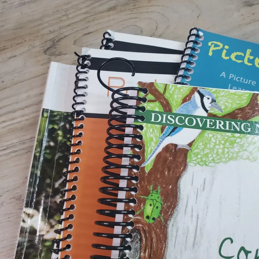 Sandi Queen Lot Homeschool Charlotte Mason ALREADY USED WRITTEN IN - ACCEPTABLE